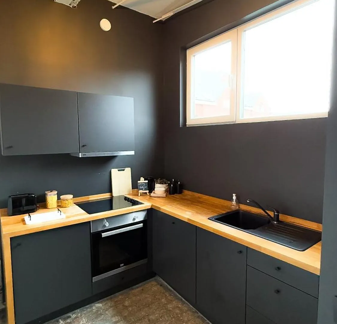 Apartmán New Lofts Inside Coffee Brewery Antverpy